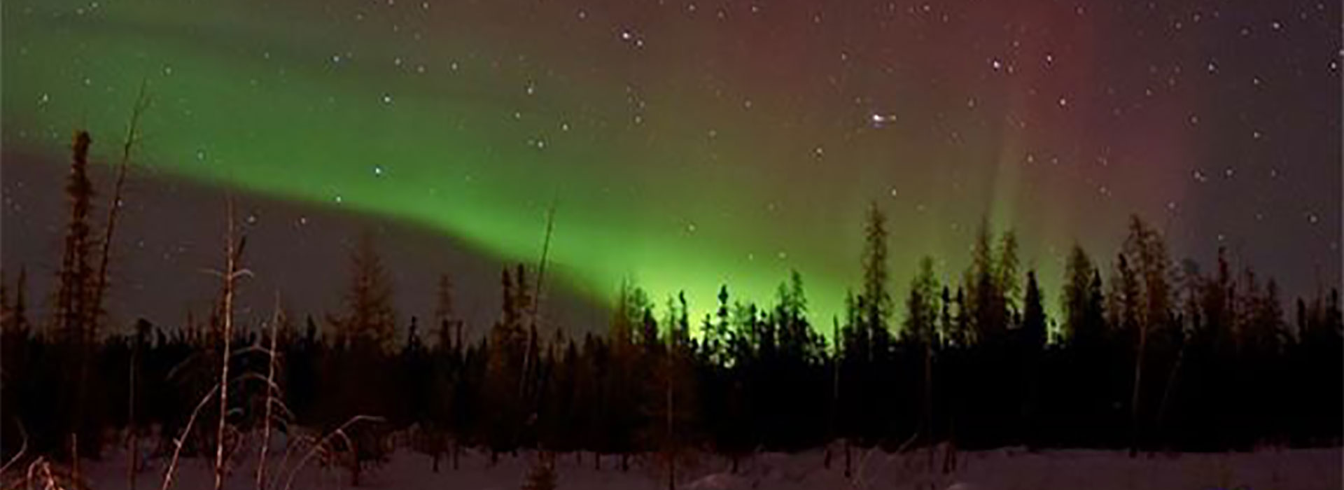 Northern Alberta's Whitetail Camp - Photo Gallery