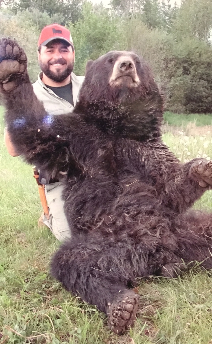 Bear Hunting in Northern Alberta