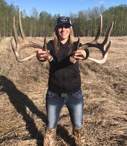 Shed Hunting